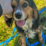 BOBISHA SHELTER (11)