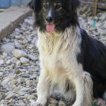 20240404-fotos-iggy-1