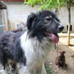 20240525-fotos-iggy-3