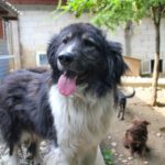 20240525-fotos-iggy-4