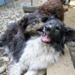 20240616-fotos-iggy-2