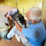 20240721-fotos-iggy-3