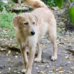 20241104_Fotos_Darcy (1)