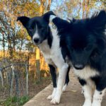 20241116_Fotos_Chantal (1)