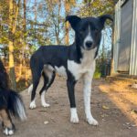 20241116_Fotos_Chantal (2)