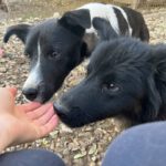 20241116_Fotos_Chantal (3)