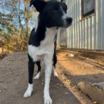 20241116_Fotos_Chantal (6)