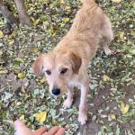 20241117_Fotos_Darcy (4)