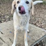 20241117_Fotos_Lima (2)