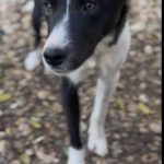 20241206_Fotos_Chantal (1)