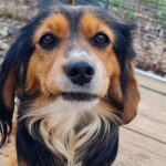 20250123-fotos-bobisha-06