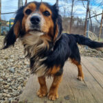 20250123-fotos-bobisha-07