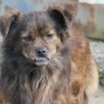 20250129-fotos-emilija-1