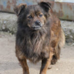 20250129-fotos-emilija-3