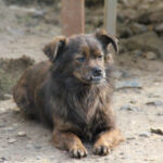 20250129-fotos-emilija-7