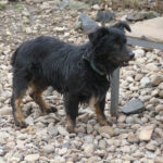 20250129-fotos-ralf-8