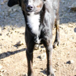 20250220-Fotos-Fiona-1