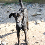 20250220-Fotos-Fiona-3