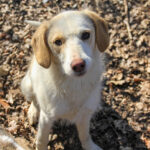 20250220_Fotos_Lima_4