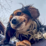 20250413-fotos-bobisha-19