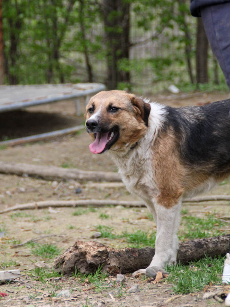 20250415-fotos-duga-02