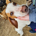 20250415-fotos-fico-01