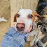 20250415-fotos-fico-06