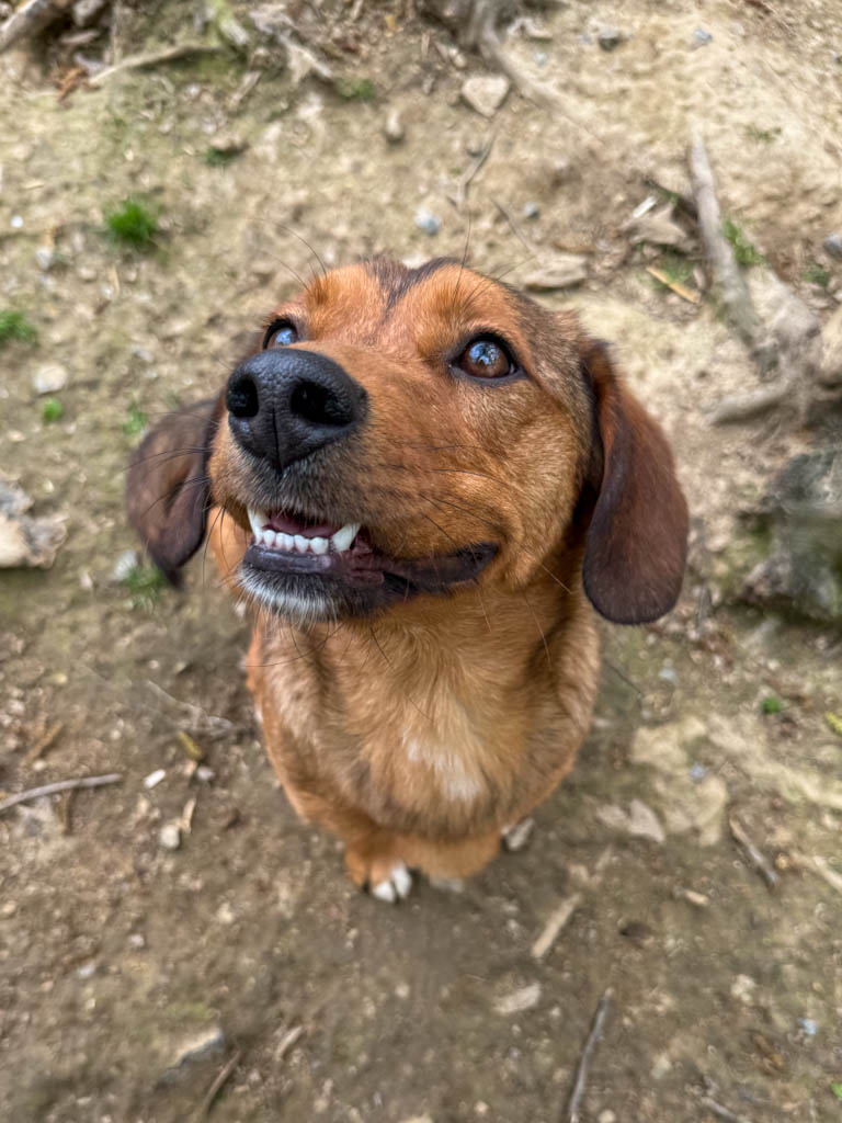 Helen