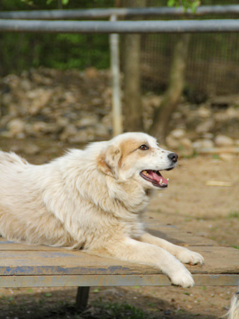 20250415-fotos-houdini-12