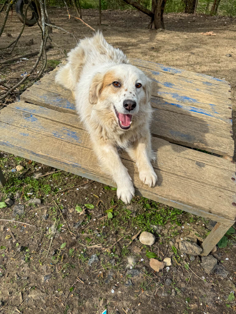 20250415-fotos-houdini-18