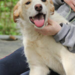 20250415-fotos-lima-01