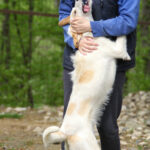 20250415-fotos-lima-02