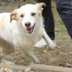 20250415-fotos-lima-03