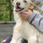 20250415-fotos-lima-04