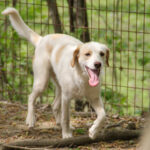 20250415-fotos-lima-05