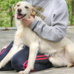 20250415-fotos-lima-06