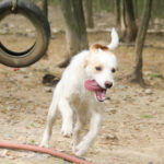 20250415-fotos-lima-12