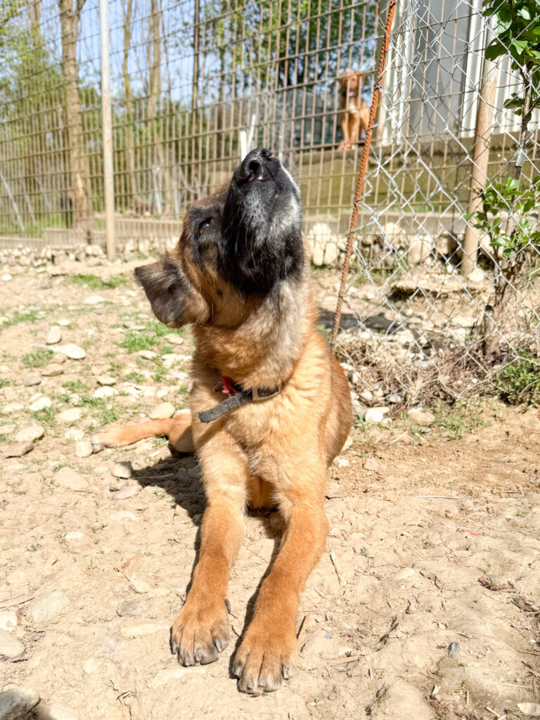 20250420-fotos-ronja-3