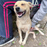 20250415-fotos-inessa-01