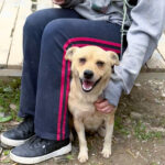 20250415-fotos-inessa-03