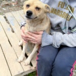 20250415-fotos-inessa-04