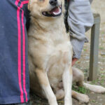 20250415-fotos-inessa-05