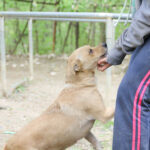 20250415-fotos-inessa-07