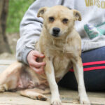 20250415-fotos-inessa-08