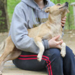 20250415-fotos-inessa-09