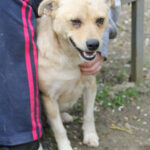 20250415-fotos-inessa-10