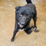 20250428-fotos-billie-1