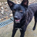 20250428-fotos-billie-10