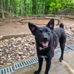 20250428-fotos-billie-12