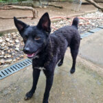 20250428-fotos-billie-13